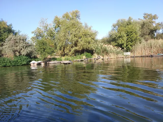 Sahaidachnoho Island