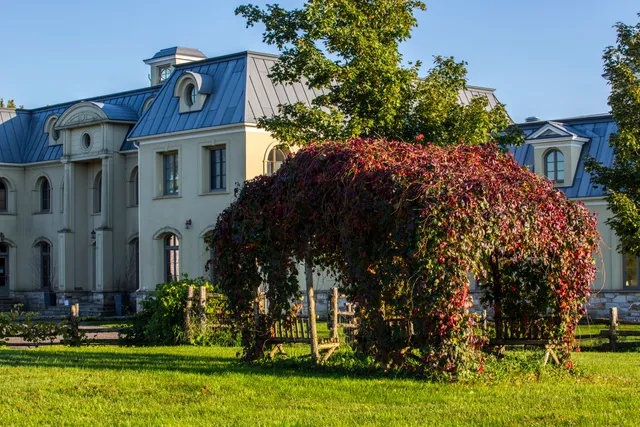 La Belle Alliance Vignoble