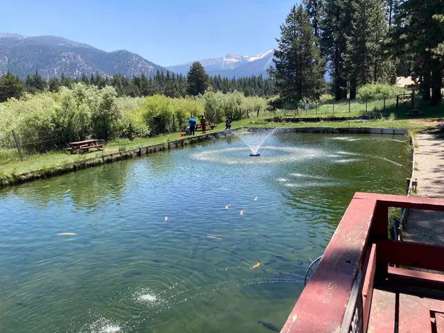 Tahoe Trout Farm