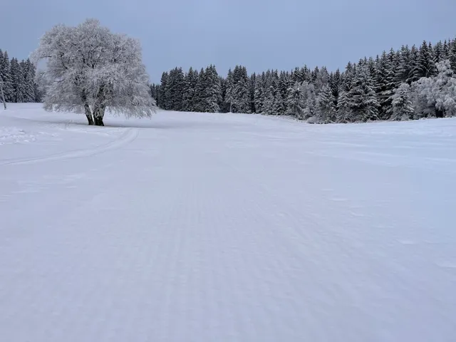 Eschenberglifte Ski- und Rodelgebiet