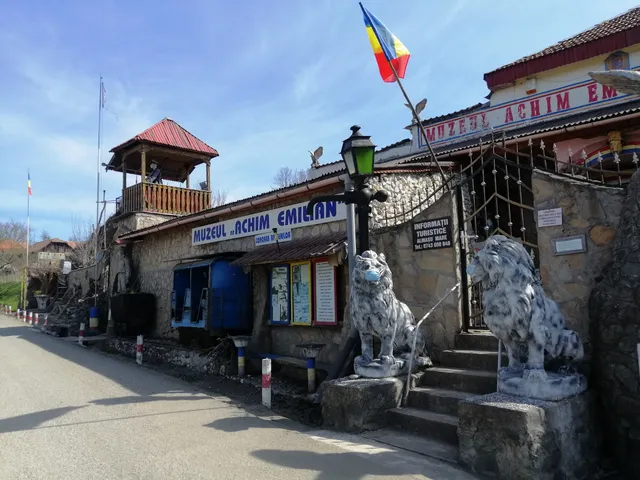 Muzeul Achim Emilian