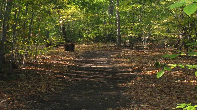 Borg's Woods Nature Preserve