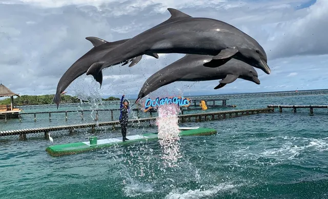 Oceanarium Rosario Islands