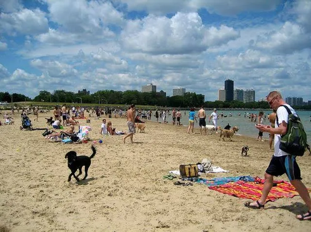 Montrose Dog Beach