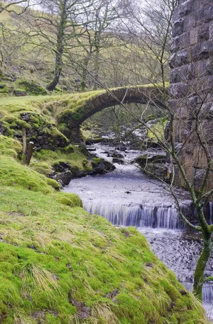 Fell End Nature Reserve