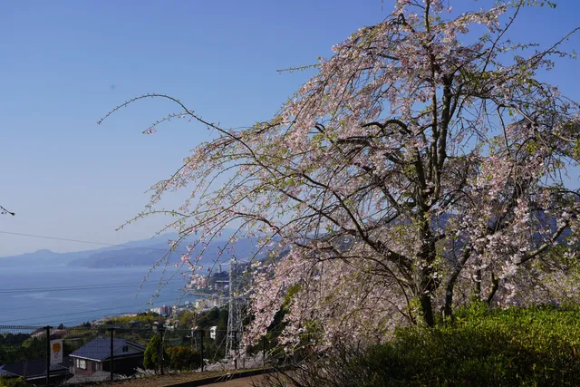 Dream Park (Yugawara Sports Park)
