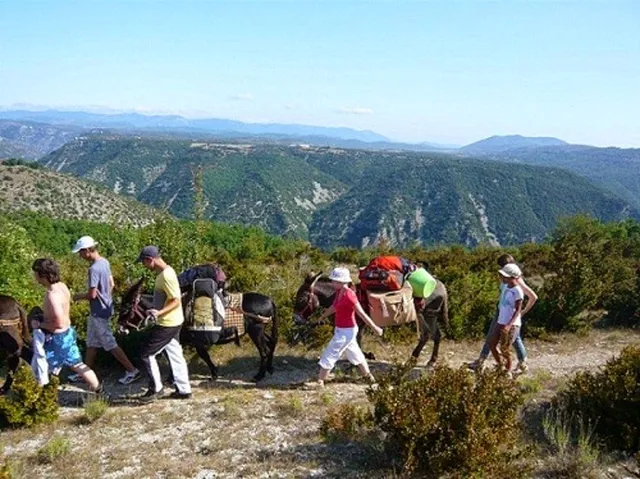 Sherp'Ânes Les Ânes du Causse, Rando ânes Larzac et Cévennes