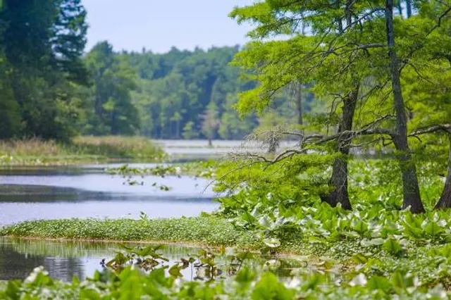 Reelfoot National Wildlife Refuge