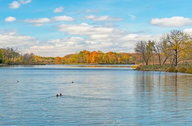 Busse Woods