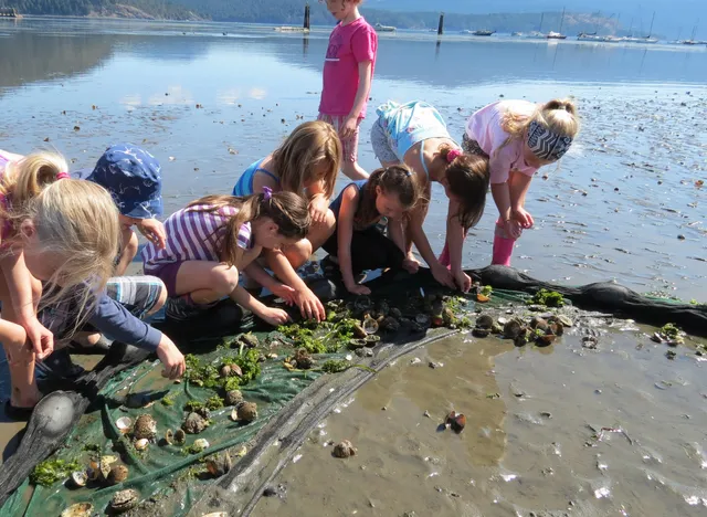 Cowichan Estuary Nature Centre