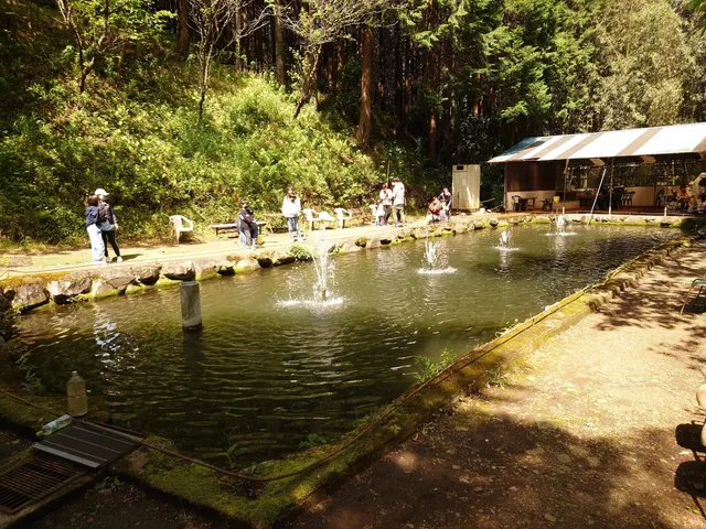 Oyama Fishing Center