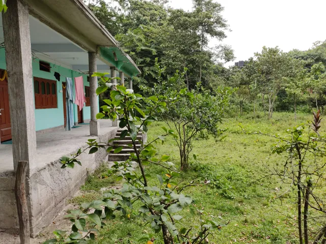 Mamom Trakus Hut