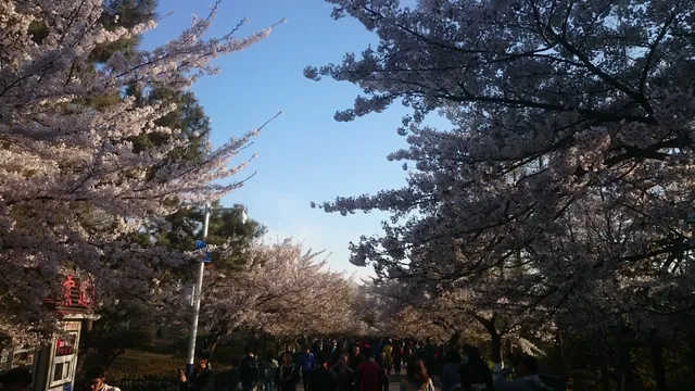 Zhongshan Park （West Gate）
