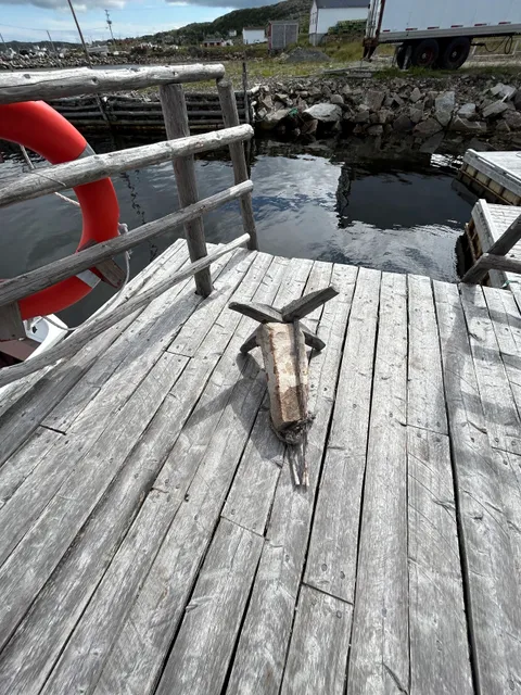 Joe Batt's Arm-Barr'd Islands-Shoal Bay