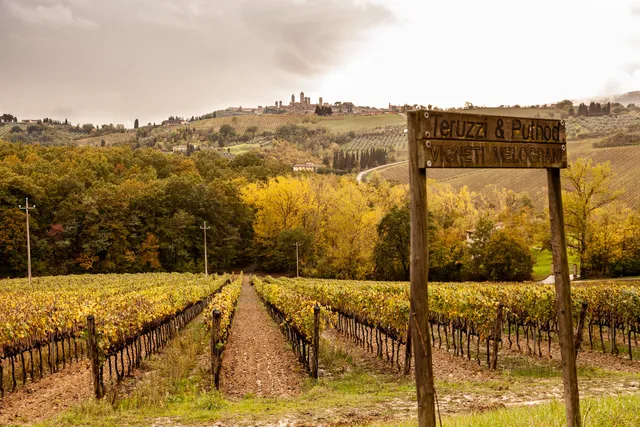 Teruzzi - Azienda, Cantina ed Enoteca