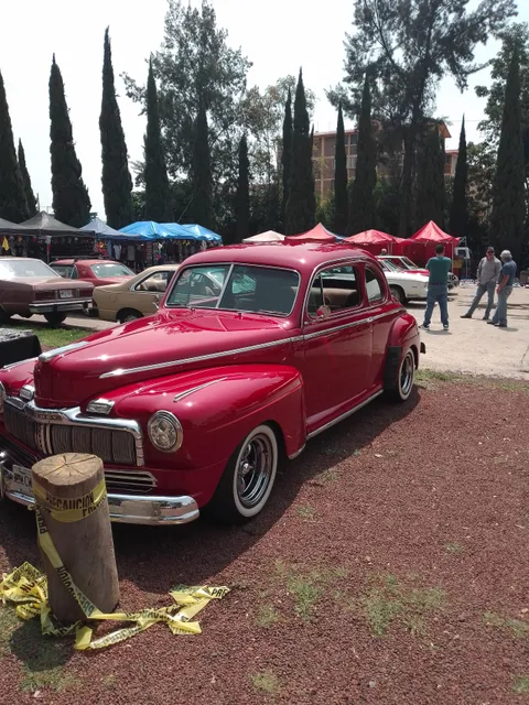 El Bazar de la carcacha