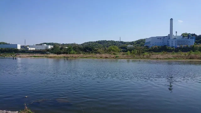 Fuchu local forest barbecue field