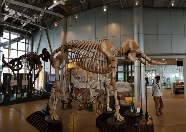 3M Sendai City Science Museum