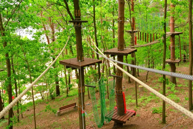 Park linowy nad Zalewem Brodzkim