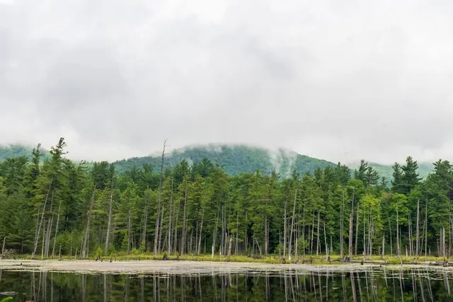 The Flume Trail System