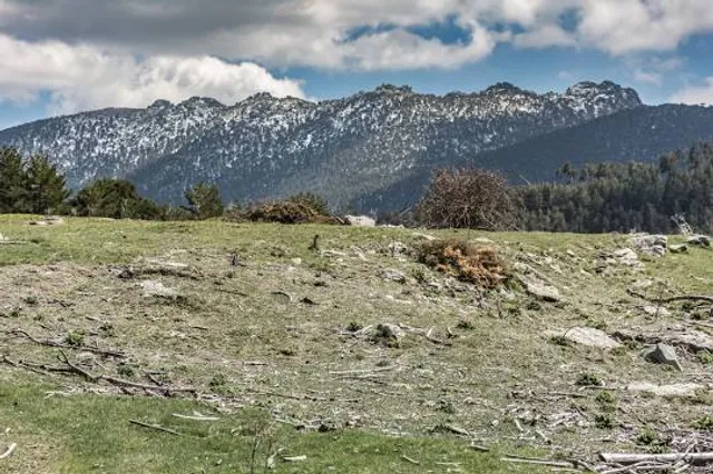 Valley-Wide's Diamond Valley Lake Community Park