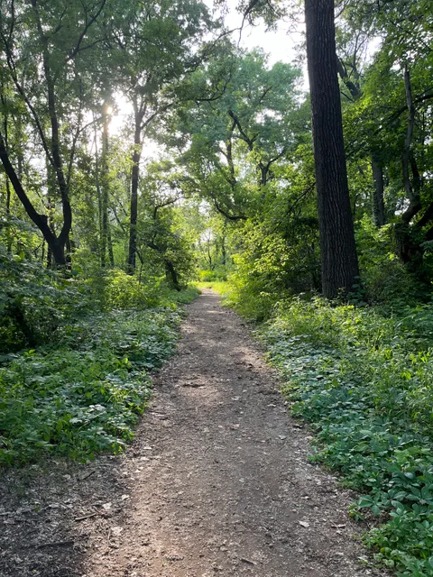 Thomas Sadler Roberts Bird Sanctuary
