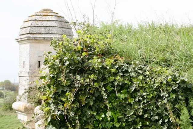 Joint Association of Brouage