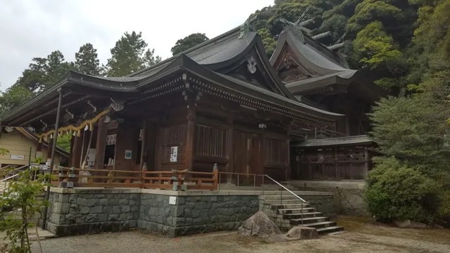 photo-1