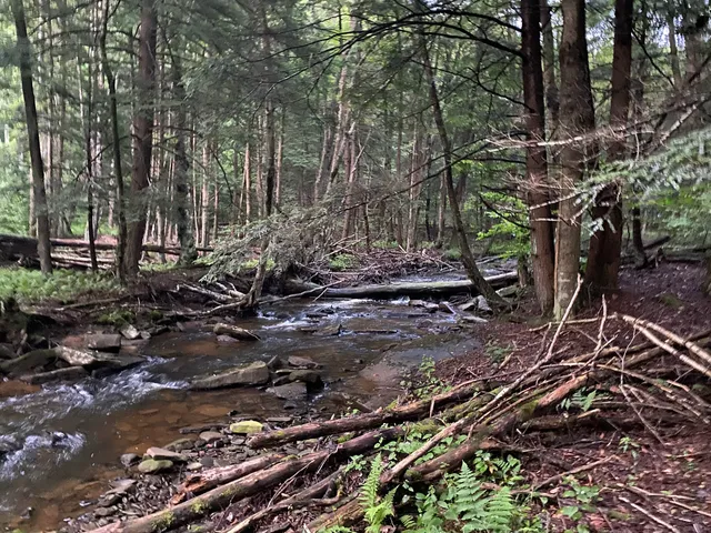 Pigeon Falls Trailhead