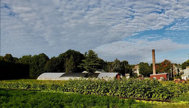 Lexington Community Farm