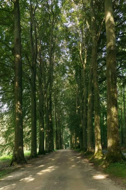 Arboretum Tervuren