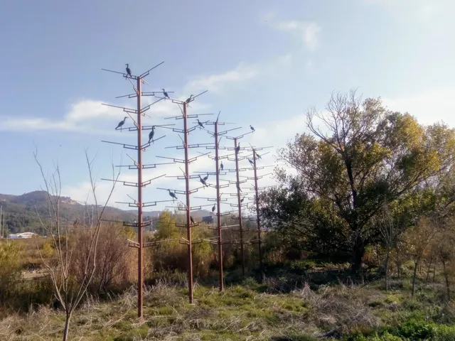Aiguamolls de Molins de Rei