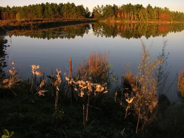 Dead Creek Wildlife Area Visitor Center