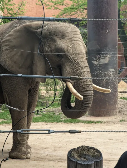 Nature's Neighborhood