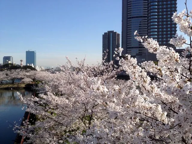 Osaka Waterfront Park “Sakuranomiya Beach”
