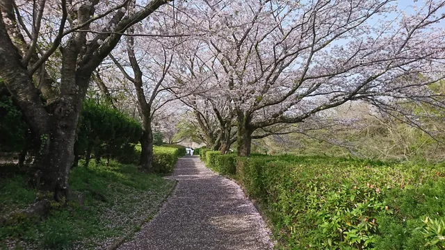 Kamiiwasaki Park