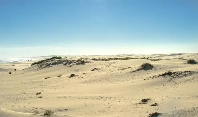 Worimi Regional Park