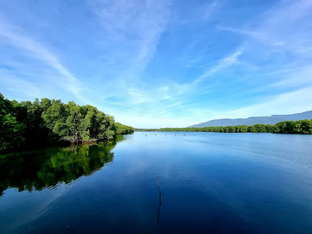 Sungai Merbok Mangrove Forest Reserve