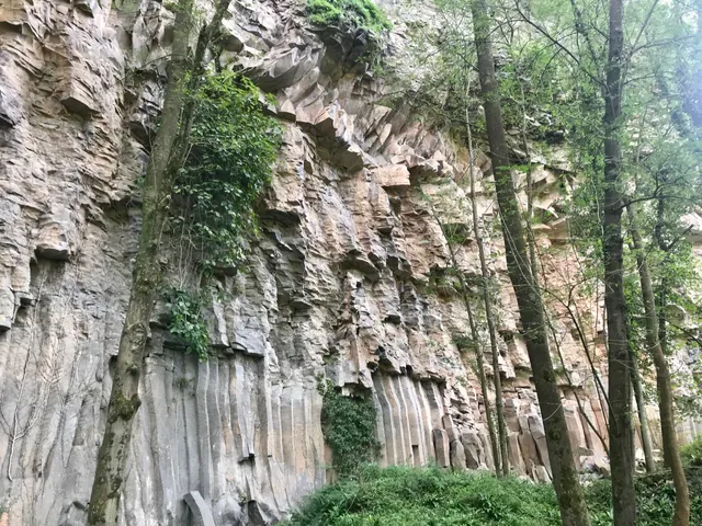 Cingles de Fontfreda