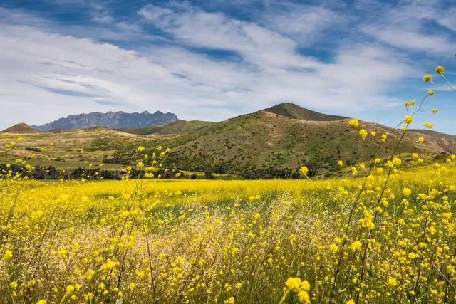Point Mugu State Park