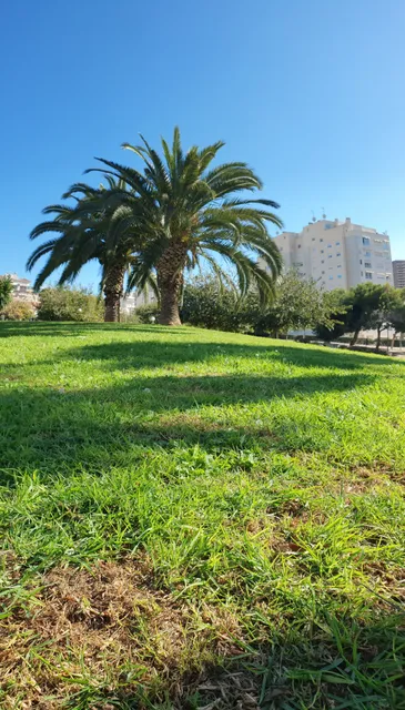 Presidente Adolfo Suárez Park