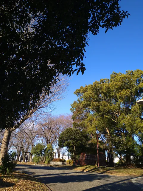 Tokyo Metropolitan Akatsuka Park (Tsujiyama Area)