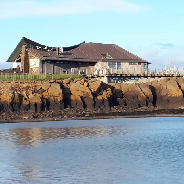 Scottish Seabird Centre