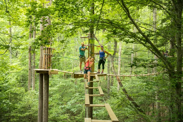 Go Ape Zipline and Adventure Park