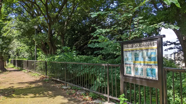 Itabashi Kuritsu Shimurashiroyama Park