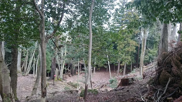 Bodaisan Castle Ruins