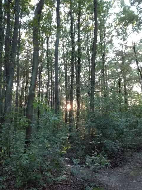 Fosse-Maussoin State Park