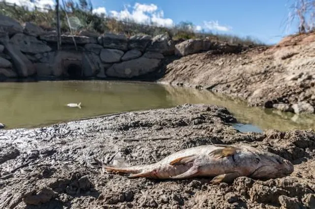 Animal Park Valcorba