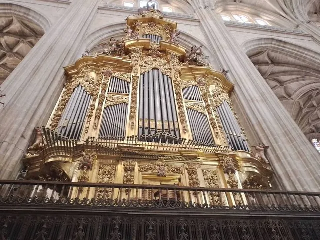 Museum of Contemporary Art Esteban Vicente