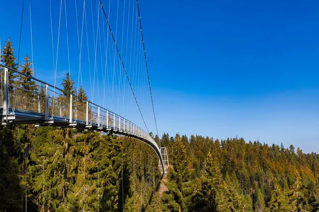 WildLine Hängebrücke